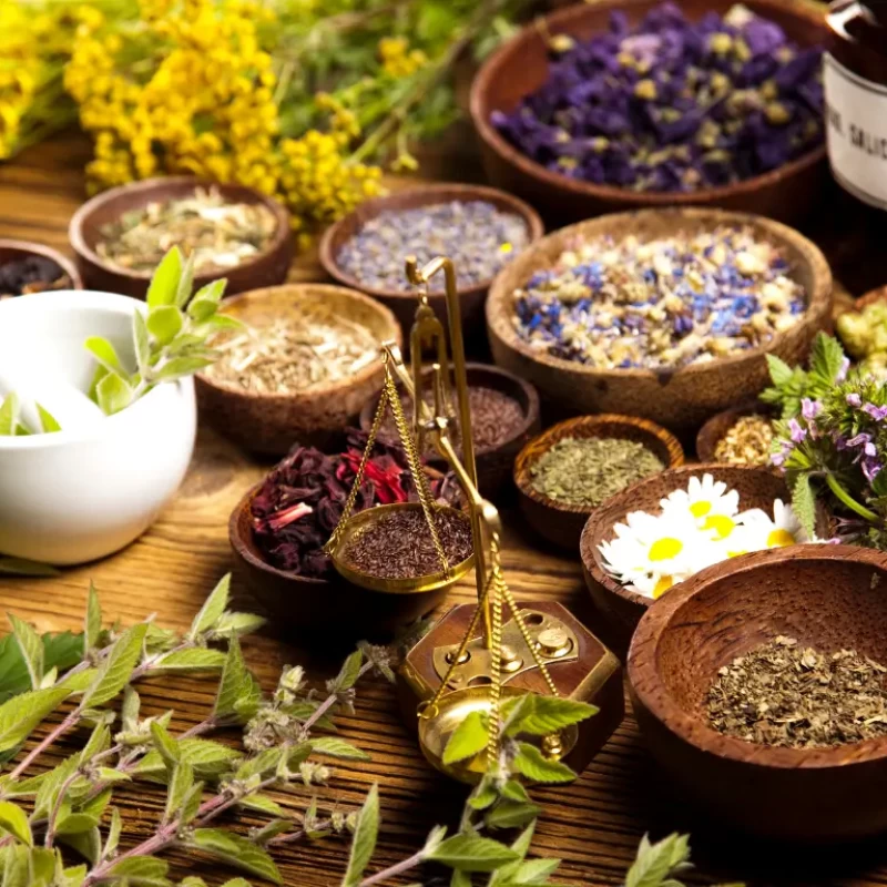 7 Best Herbal Teas for Summers: Cooling Herbs to Beat the Heat Naturally